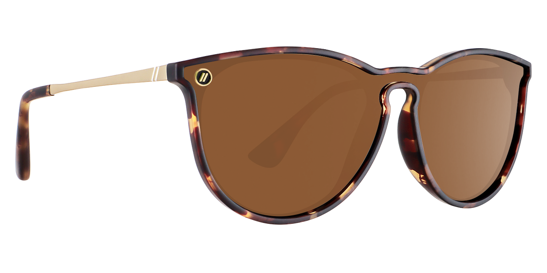 Blenders North Park X2 Sunglasses Accessories Blenders Brandy Night