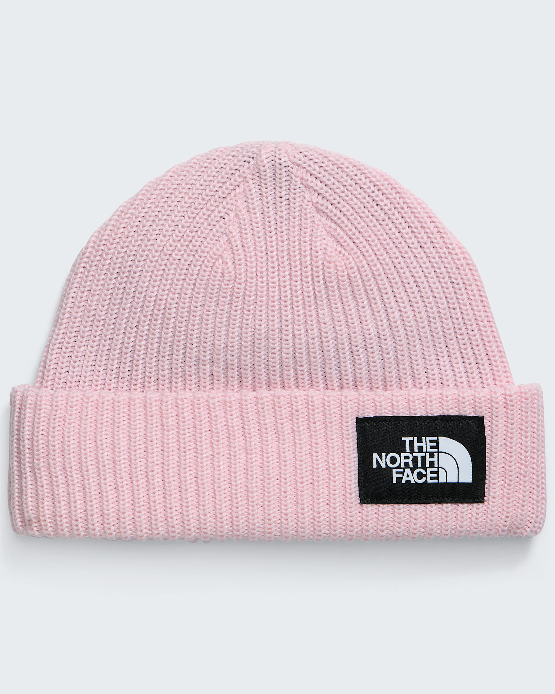 The North Face Kids' Salty Lined Beanie Accessories North Face Pale Blossom-BP6