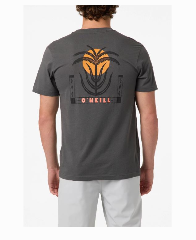 O'Neill Men's Palm Throne Classic Tee Apparel O'Neill Dark Shadow Small