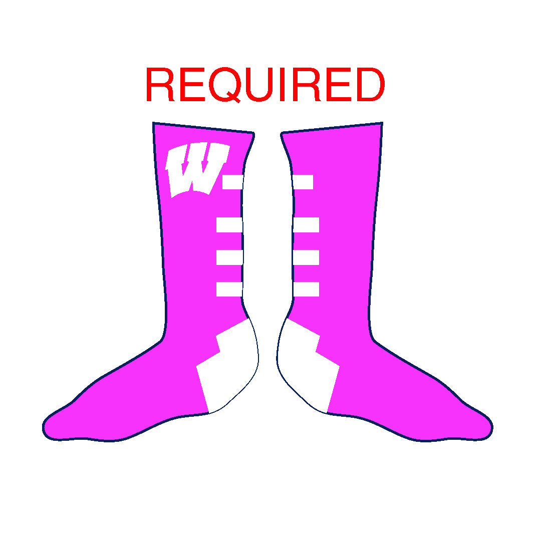 Westport PAL Football Sock- REQUIRED- Pink Logowear Westport PAL Football Youth 12-4 shoe