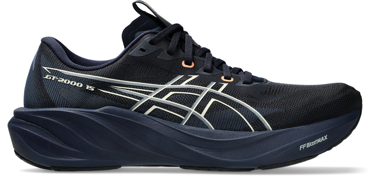 ASICS Men's GT-2000 v15