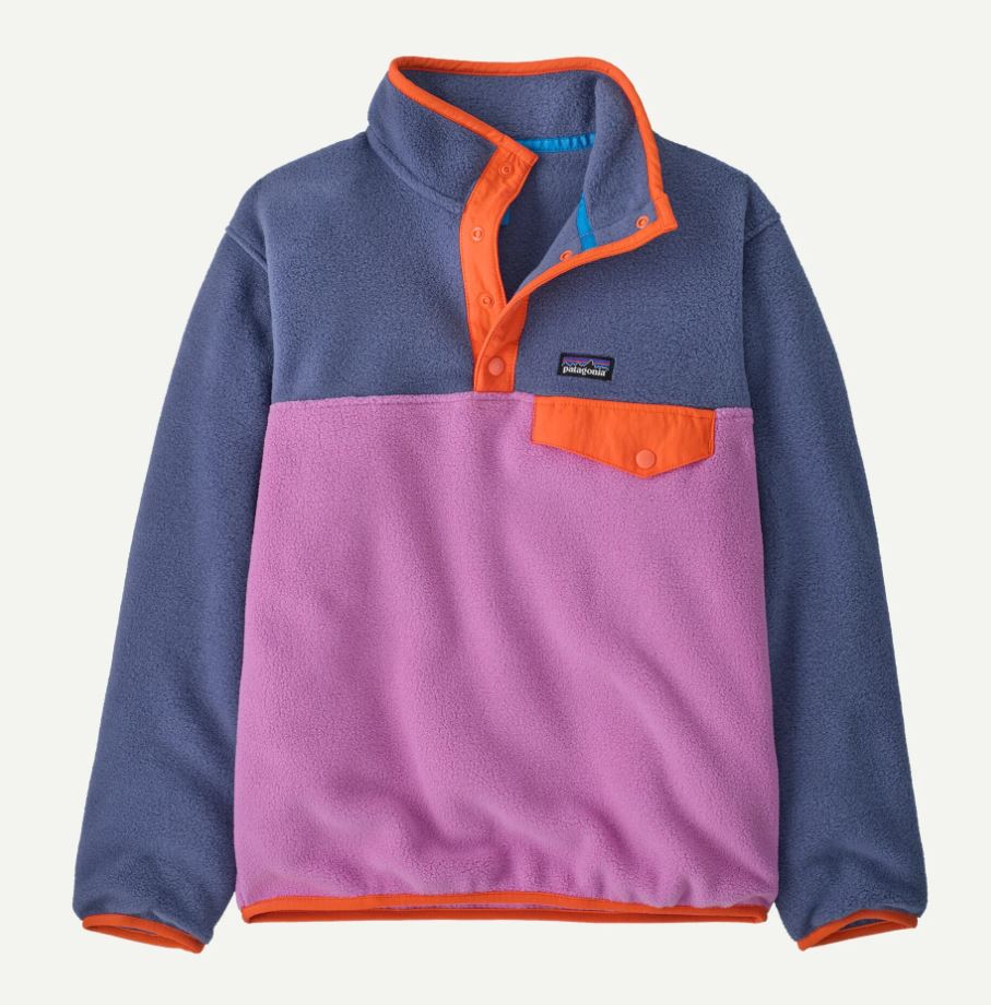 Patagonia Kids' Lightweight Synchilla® Snap-T® Fleece Pullover Apparel Patagonia Brisk Purple-BKPL Small