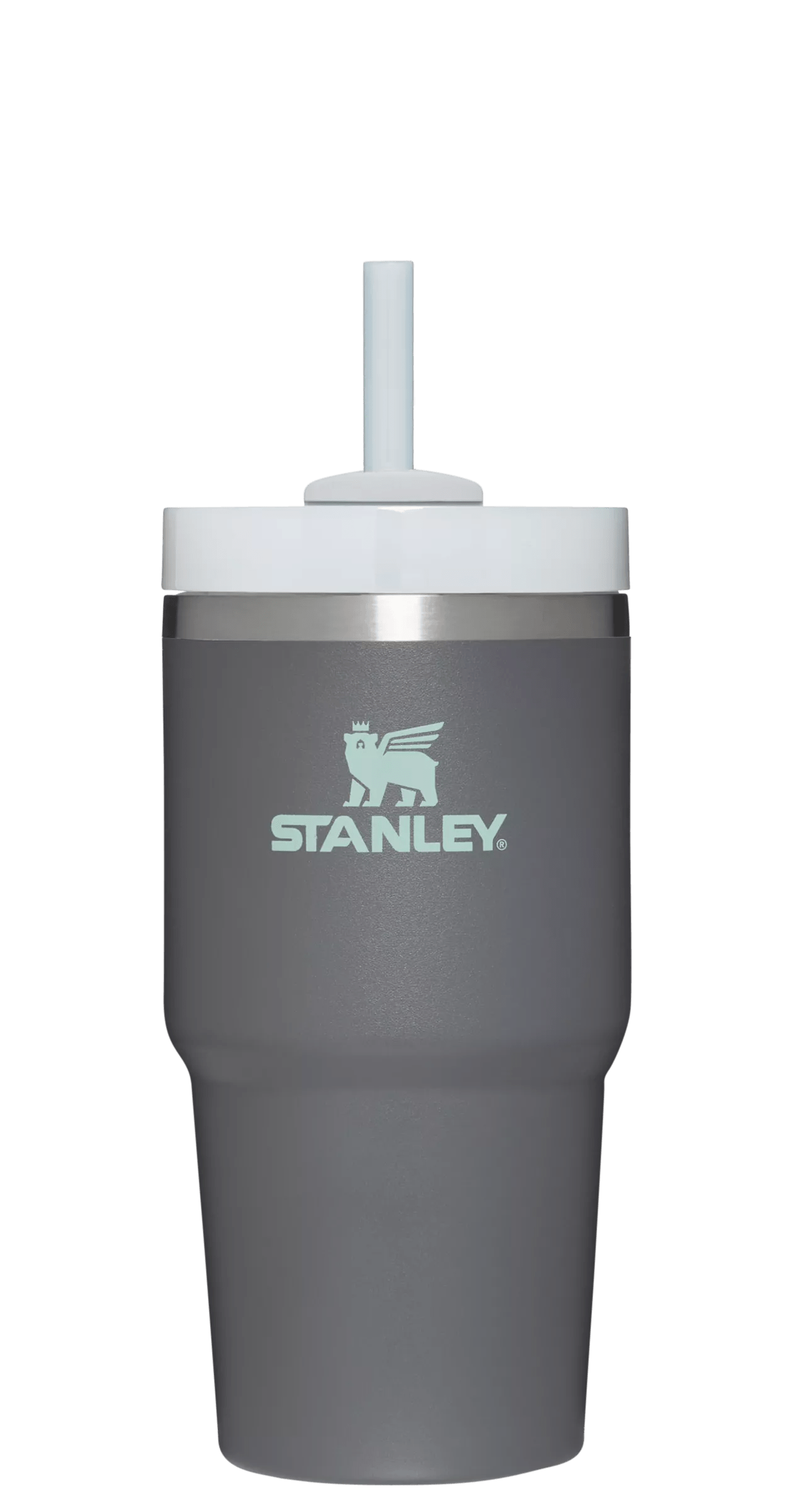 Stanley The Quencher H2.0 Flowstate Tumbler 20 oz Hydration Stanley Charcoal  